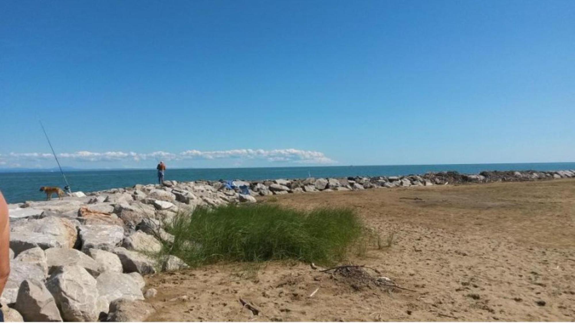 Luminous Just Next To The Bibione